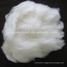 Directly Sale Cashmere Fiber Factory with Good Length